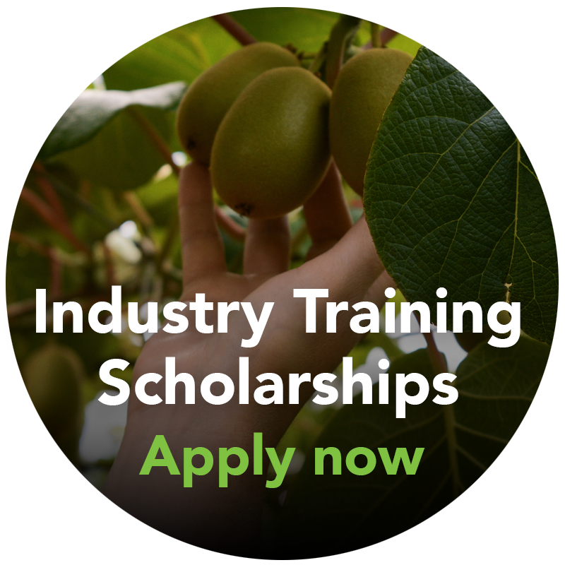 Industry training scholarship website splotch